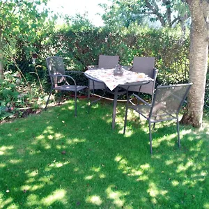 Schwalbennest Sommerach